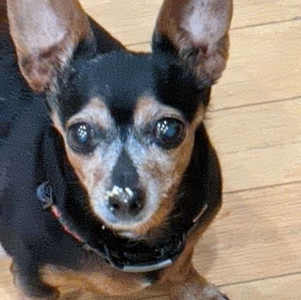 Meet your Posher, Marla